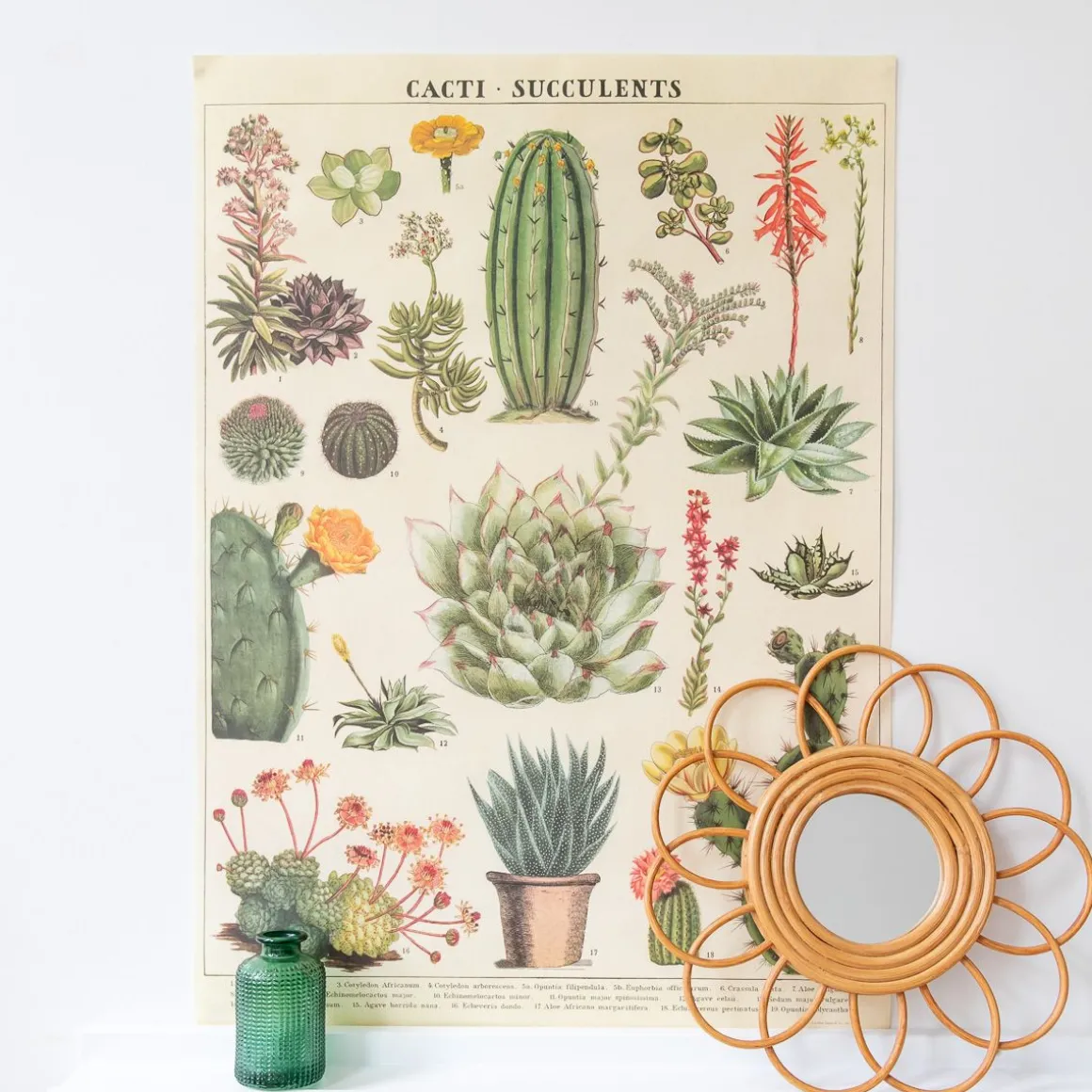 Affiche vintage cactus