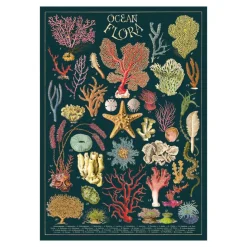 Affiche vintage Flore des océans