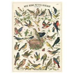 Affiche vintage "Nos bons petits oiseaux"