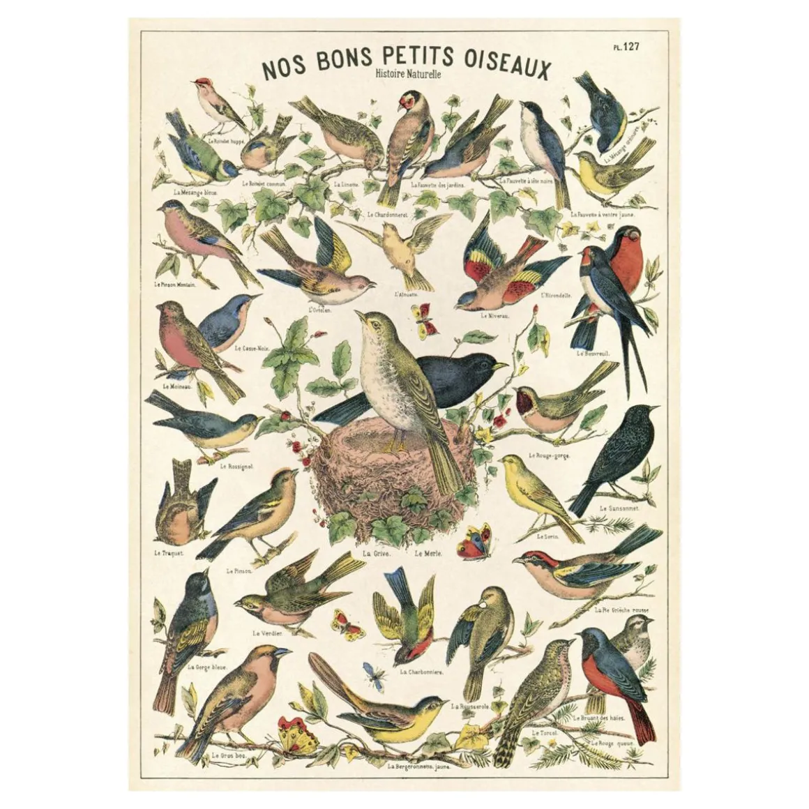 Affiche vintage "Nos bons petits oiseaux"