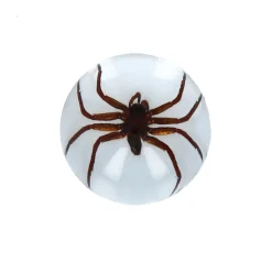 Araignée d'eau sous résine