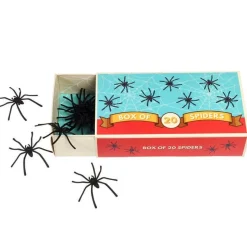 Boite de 20 araignées