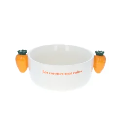Bol avec anses carottes