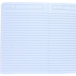 Cahier motifs dinosaures