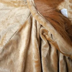 Cape déguisement enfant Lion