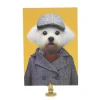 Carte bichon maltais