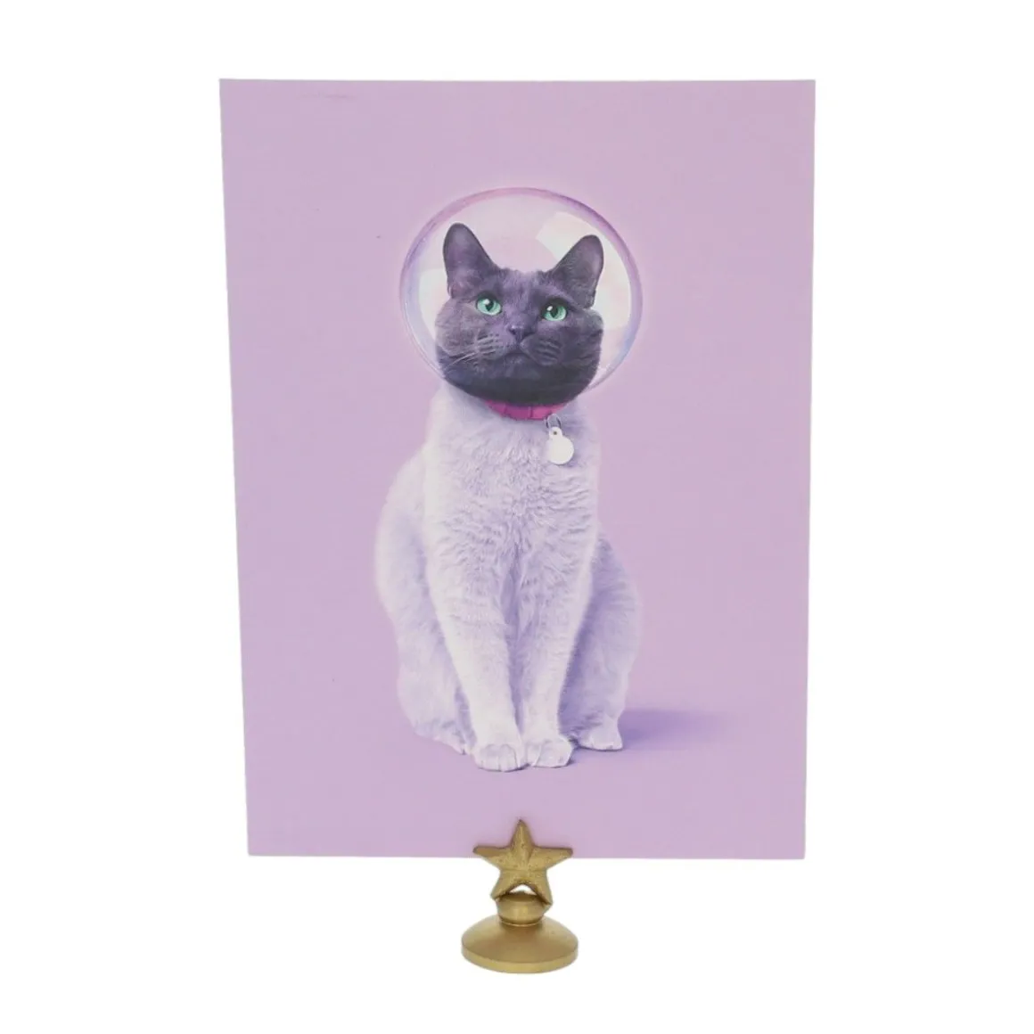 Carte de voeux chat astronaute