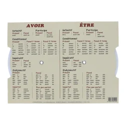 Disque des auxiliaires