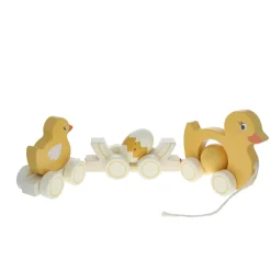 Famille canard à promener en bois
