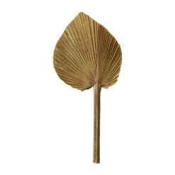 Feuille de palme naturelle 15-20 cm