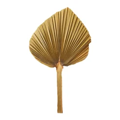 Feuille de palme naturelle 25-30 cm