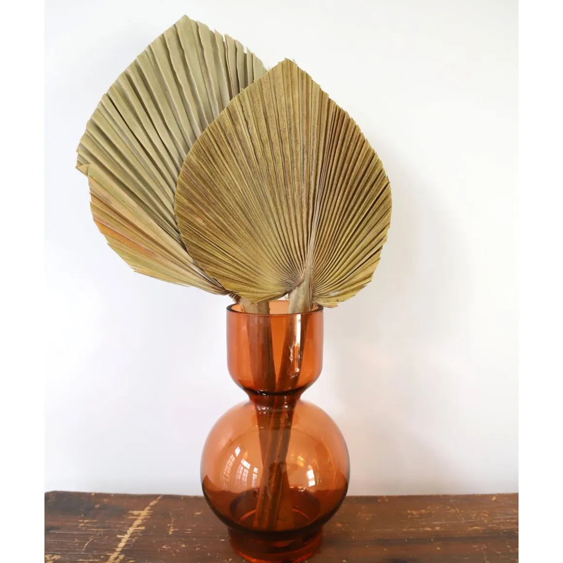Feuille de palme naturelle 15-20 cm