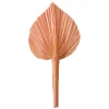 Feuille de palme rose 20-25 cm