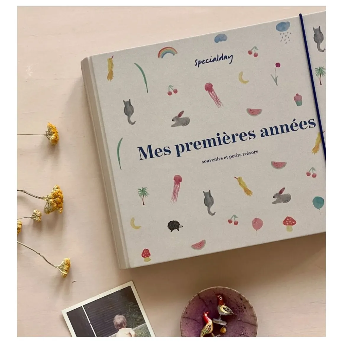 Livre de naissance "Mes premières années"