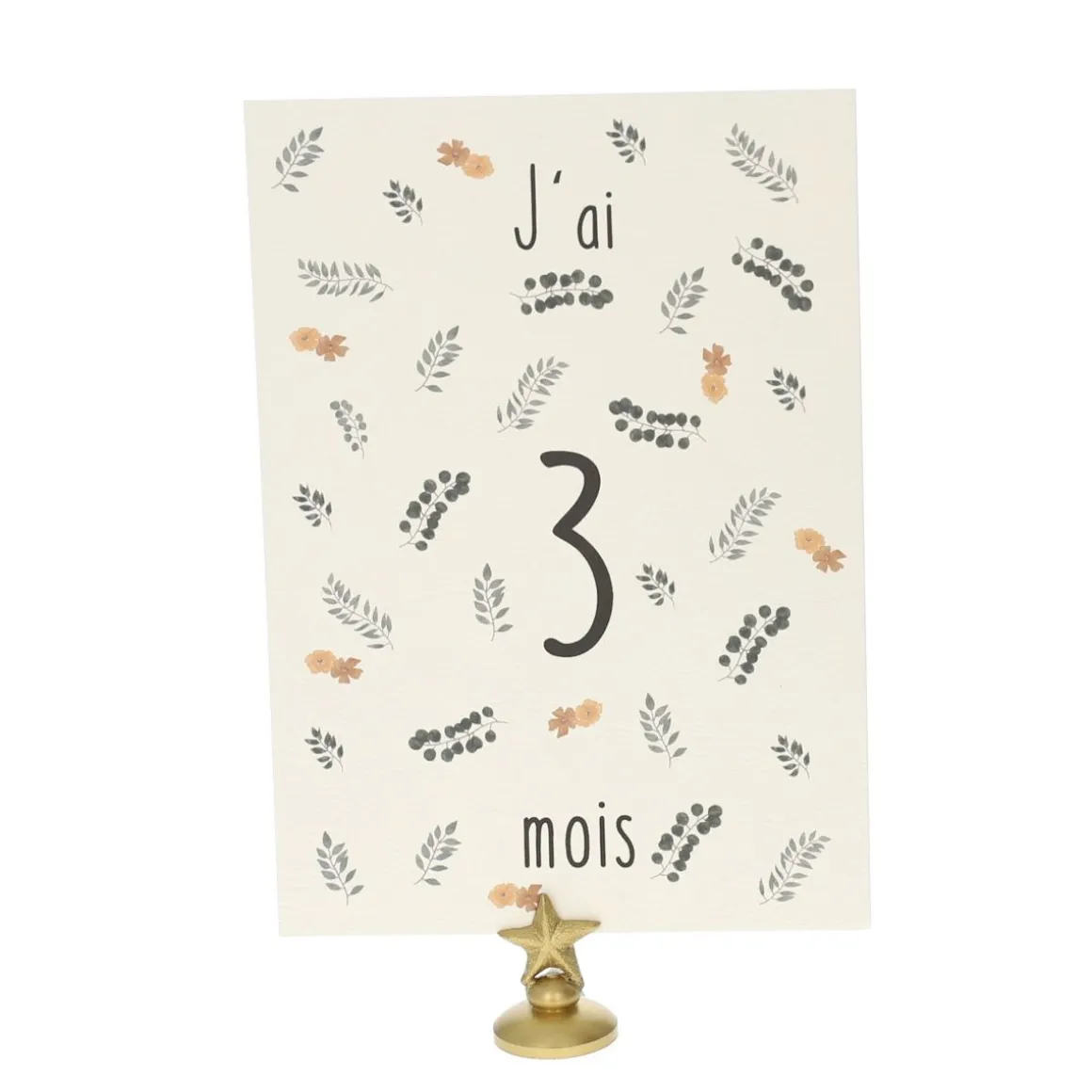 Lot de 12 cartes Ma première année de bébé