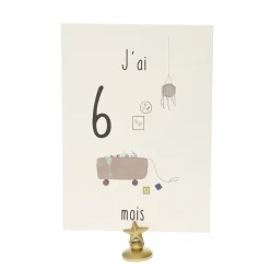Lot de 12 cartes Ma première année de bébé