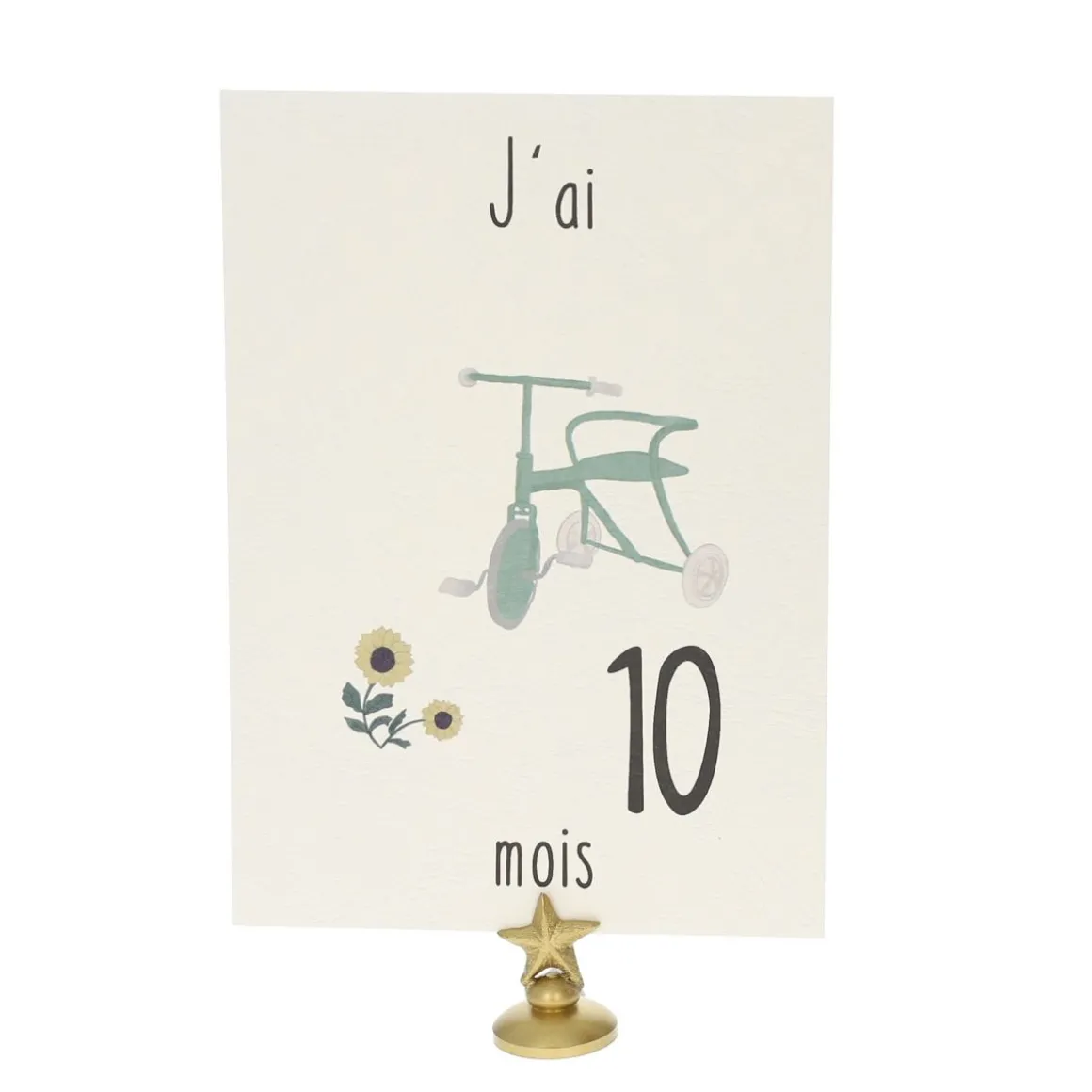 Lot de 12 cartes Ma première année de bébé