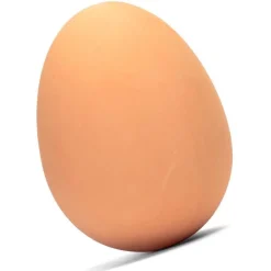 Oeuf rebondissant
