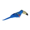 Oiseau à clipser toucan bleu