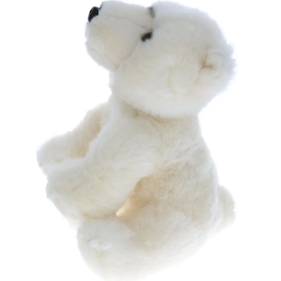 Peluche ours blanc