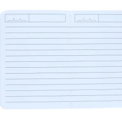 Petit carnet de notes motifs dinosaures