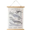Poster en tissu "Les Cétacés"