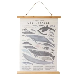 Poster en tissu "Les Cétacés"