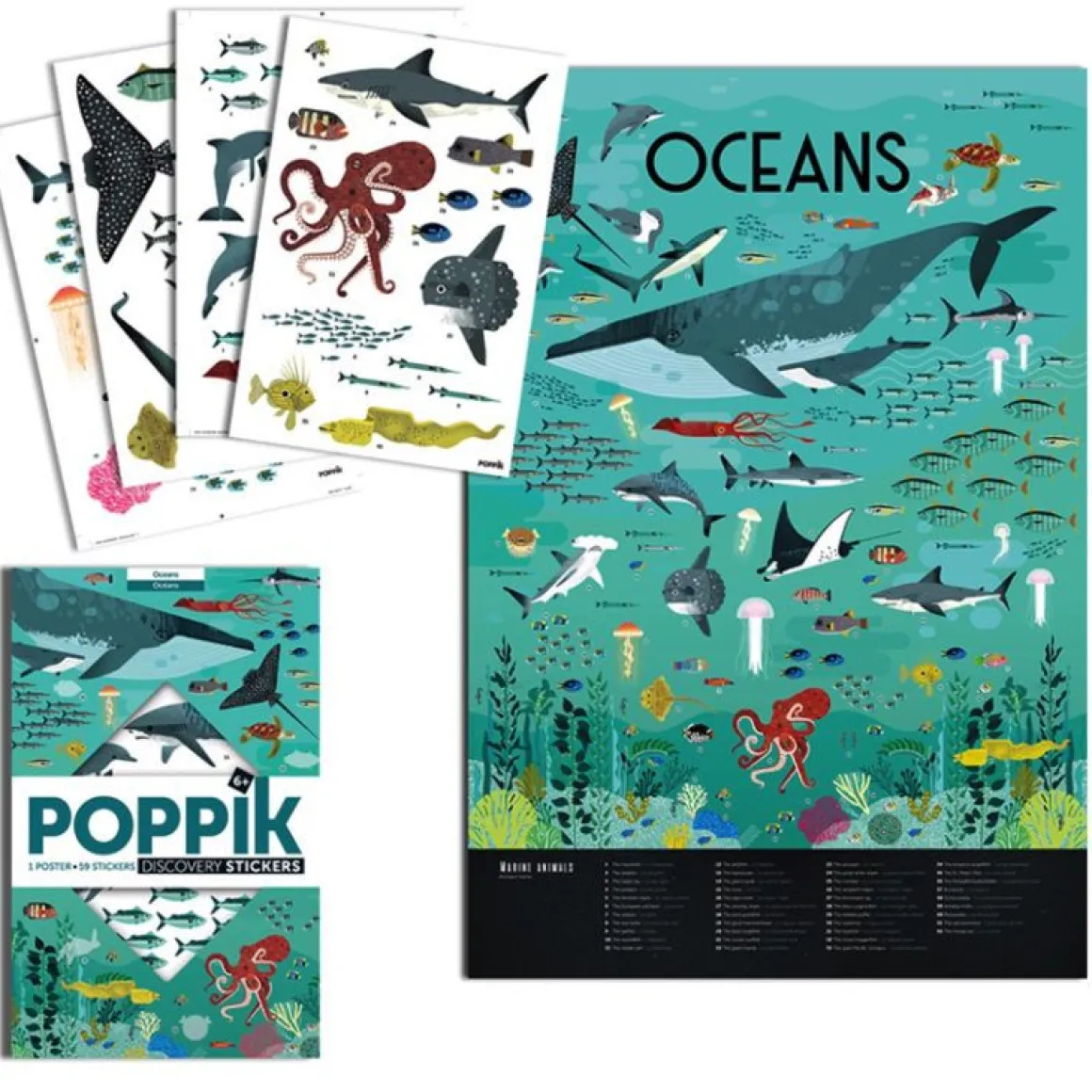 Poster et stickers Oceans