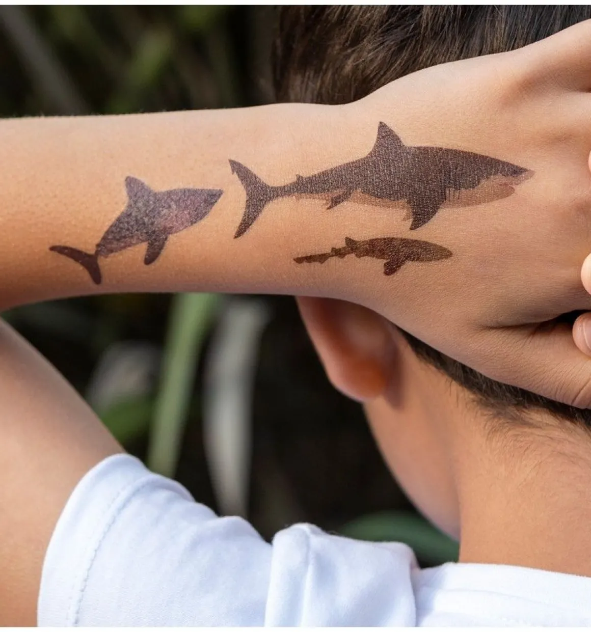 Tatouages temporaires requin