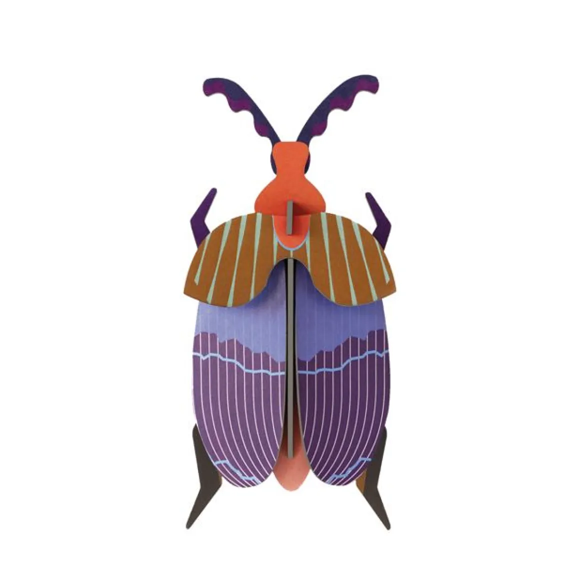 Trophée coléoptère reine