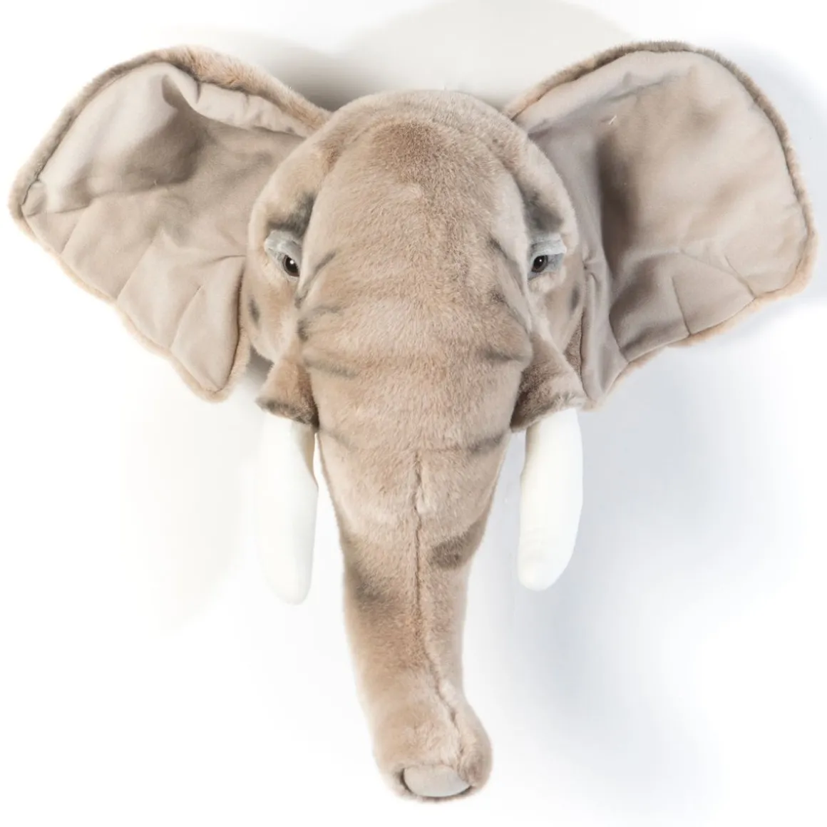 Trophée éléphant