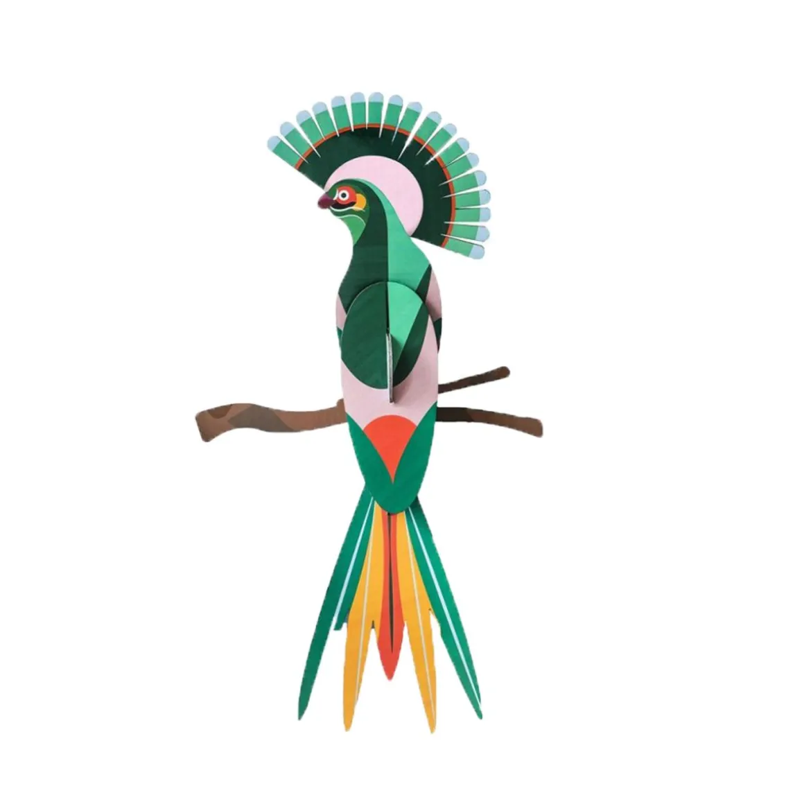 Trophée oiseau du paradis