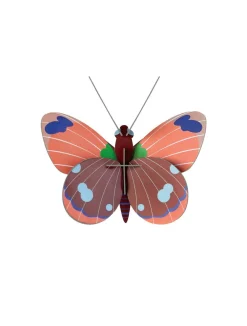 Trophée papillon Délias