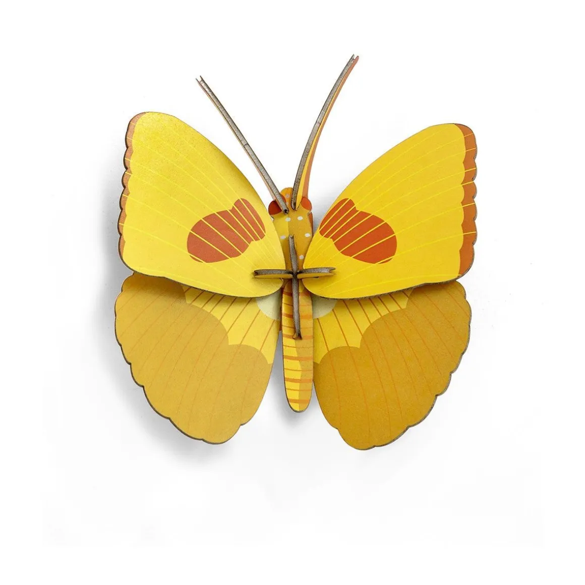 Trophée papillon jaune
